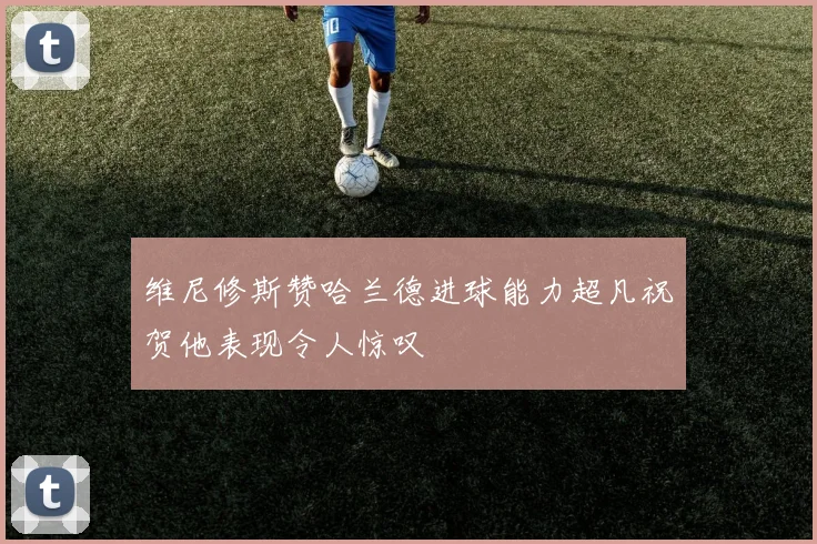维尼修斯赞哈兰德进球能力超凡祝贺他表现令人惊叹