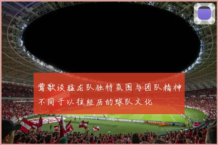 莺歌谈猛龙队独特氛围与团队精神不同于以往经历的球队文化