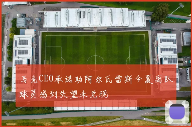 马竞CEO承诺助阿尔瓦雷斯今夏离队球员感到失望未兑现
