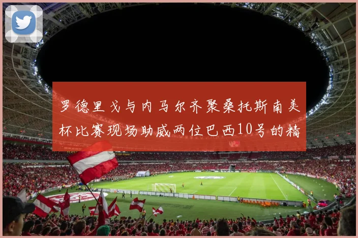 罗德里戈与内马尔齐聚桑托斯南美杯比赛现场助威两位巴西10号的精彩时刻